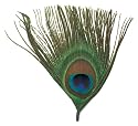 Natural Feather Picks: Peacock Eye