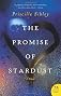 The Promise of Stardust: A Novel