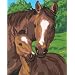 Dimensions PaintWorks/Paint By Number, Pony And Mother