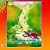 Roger Dean: Views
