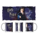 Eigenschaften Hellfire / Tasse Harry Potter