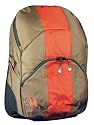 [ティンバック2] TIMBUK2 ヴォイド ブラウン/バーントオレンジ 2TB-VDDP-BRBO
