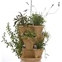 Mini-Garden Stacker- Stackable/Hangable All Season Planter- Indoor/Outdoor Stacking Flower Pot- Great Gardening Gift Idea For A Gardener - Color: Tuscany