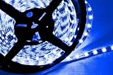 Hitlights Blue Flexible Ribbon LED Strip Light, 300 LEDs, 5 Meters (16.4 Feet) Spool, 12VDC Input (Adapter not included)