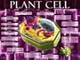 Plant Cell Art Poster Print, 24x18