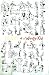 Wimpy Kid - Doodles Wall Poster