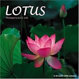 Lotus 2008 Wall Calendar