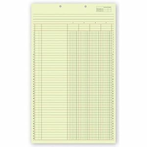 Amazon.com : Columnar Pads 4 Columns (1) : Office Storage Supplies ...