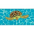 Sea of Tranquility Canvas Wall Art - 36x18"