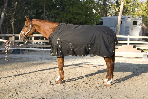 Kensington KPP Roustabout Euro Cut Lightweight Turnout Blanket, Navy, 81