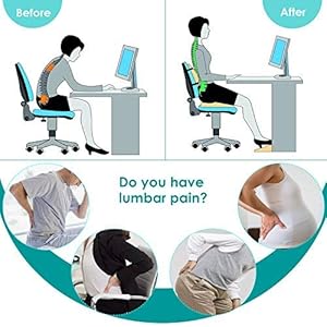 Lumbar Support Pillow Back Cushion Memory Foam Orthopedic