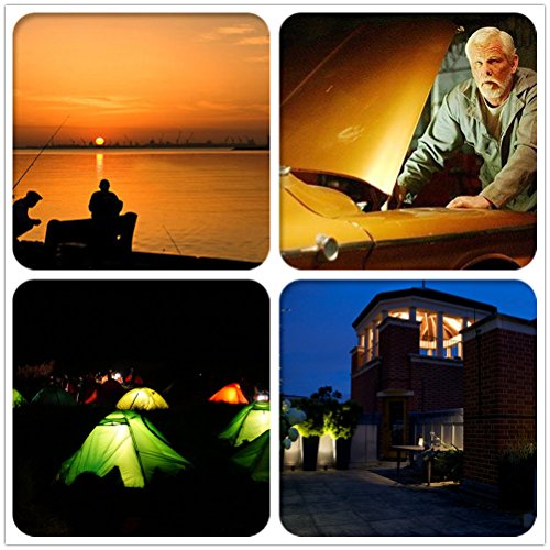 Imagen 5 de Roilois 0