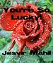 You're So Lucky!