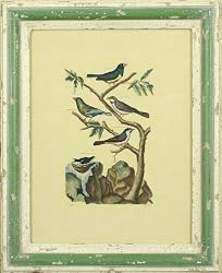 Birds - Print - D. Diderot - 16x13
