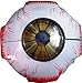 Herindera Human Eye Ball with Muscles RS.300.00