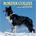 Border Collies 2010 Wall Calendar