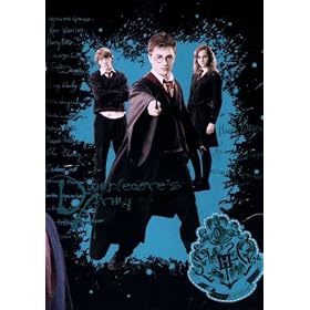 HARRY POTTER DUMBELDORES ARMY MINK BLANKET