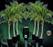 C.A.P. Monster 6 Grow Pot Complete Hydroponic System w/55 Gallon Reservoir (5 Gallon Pots)