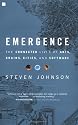 Emergence: The Connected Lives of Ants, Brains, Cities, and Software