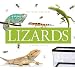 Lizards (Pet Care for Kids)