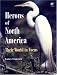 Books : Herons of North America: Their World in Focus (A Volume in the AP NATURAL WORLD Series) (Ap Natural World)
