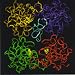 Genes and Disease - Respiratory Diseases