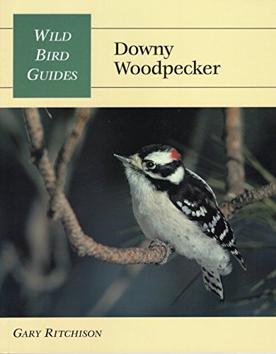 Wild Bird Guide: Downy Woodpecker (Wild Bird Guides)