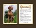 Dog Rules Vizsla Wall Decor Pet Saying Dog Saying
