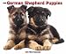 German Shepherd Puppies 2011 Wall Calendar