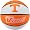 Tennessee Volunteers