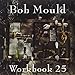 Bob Mould, Workbook 25 [12 inch Analog], 発売中