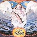 Fish Rising