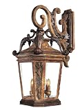 Buckingham Collection 33 1/4 High Wall Lantern