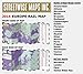 Streetwise Europe Rail Map - Laminated Railroad Map of Europe