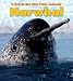 Narwhal (Day in the Life: Polar Animals)