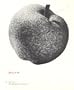 Jiri Kolar -  Works in Exhibit - Solomon R. Guggenheim Museum