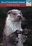 How to find and identify mammals