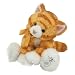 Shining Star Tabby Cat