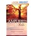 Amplified Bible,. Large Print