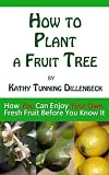 How to Plant a Fruit Tree: How You Can Enjoy Your Own Fresh Fruit Before You Know It