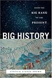 Big History: From the Big Bang to the Present