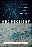 Big History: From the Big Bang to the Present