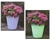 Beleuchteter Blumentopf mit Farbwechsel