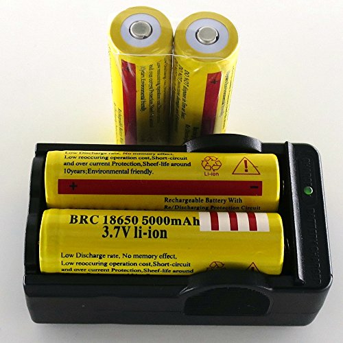 SmartLive 4 pcs 3.7V 18650 5000mah Rechargeable Lithium Battery with 18650 battery Charger