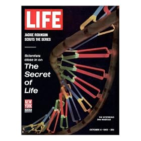 Partial DNA Helix Model, Advances in Gene Research, October 4, 1963 Photographic Poster Print by Fritz Goro, 11x14