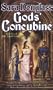 Gods' Concubine: Book Two of The Troy Game