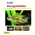 Zwergcichliden, Ihr Hobby