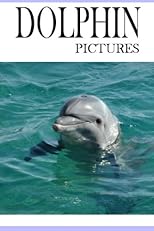 Dolphin Pictures