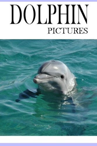 Dolphin Pictures