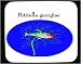 Mouse Pad with fish, aquarium